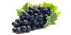 uvas